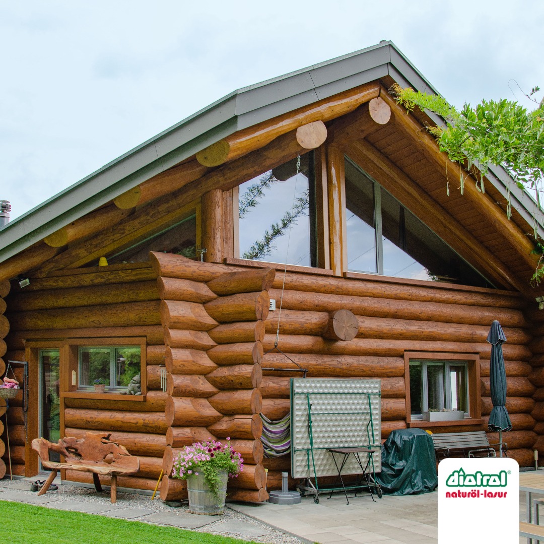 313420408 552730206854947 8531126462022026529 n