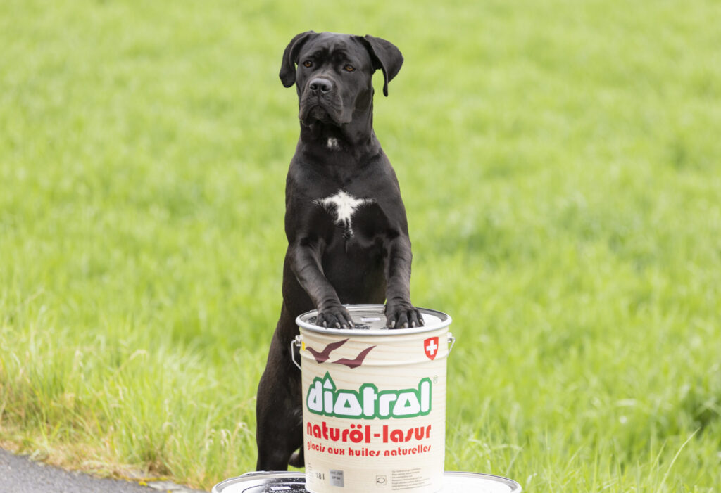 diotrol ag team 2025 20 scaled e1744789495720