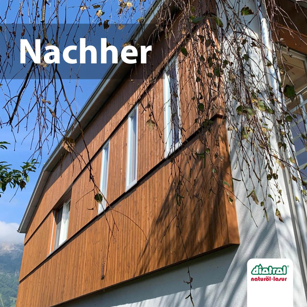 Diotrol Woodprimer - immagine 3